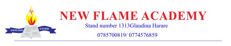 New Flame Academy